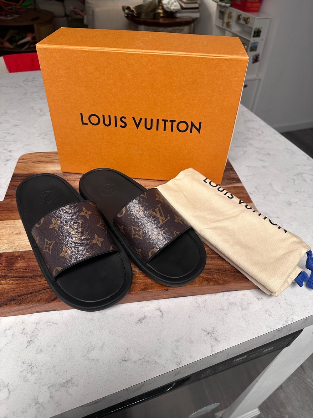 Louis Vuitton Monogram Brown and Black Men's Slide Sandals - Picture 7 of 8